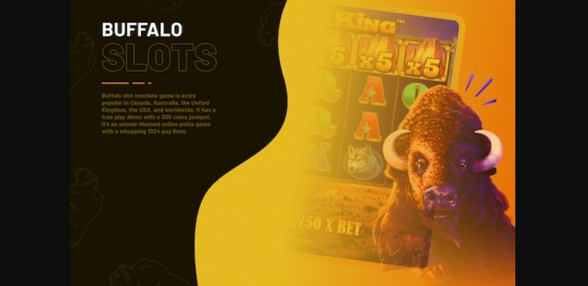 buffalo gold slot machine strategy 3